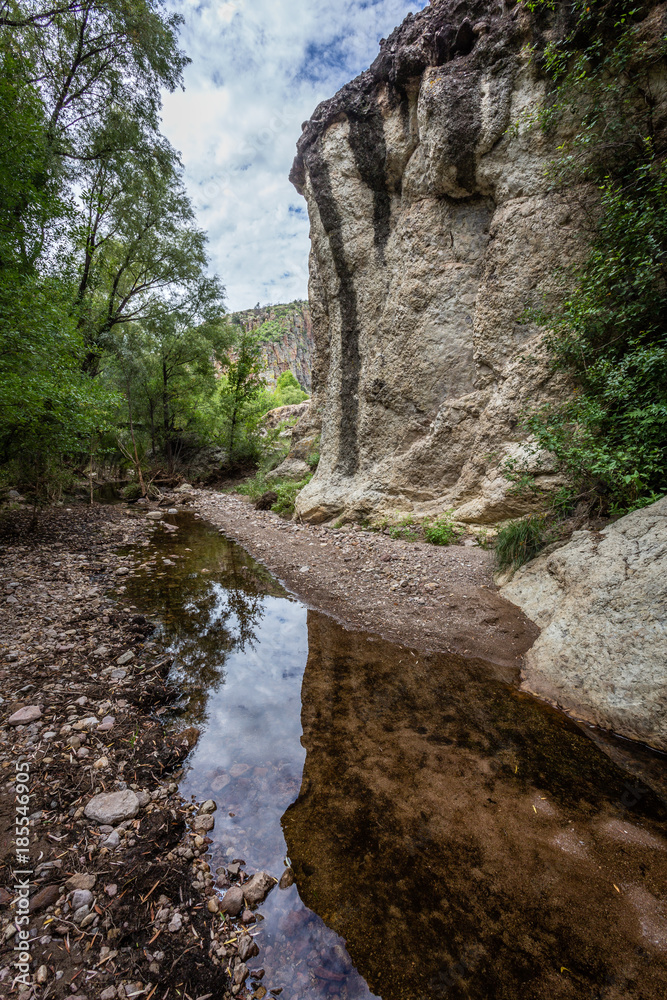 A subtle reflection is one of many interesting sights in this little known canyon in the Tumacacori Highlands of southern Arizona. A subtle reflection is one of many interesting sights in this little known canyon in the Tumacacori Highlands of southern Arizona.