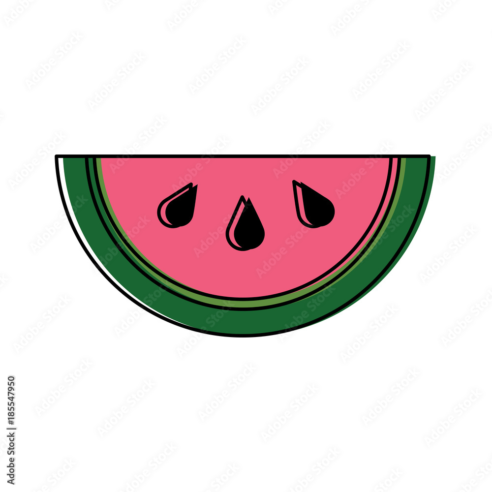 Fototapeta premium watermelon tropical fruit health nutrition food vector illustration