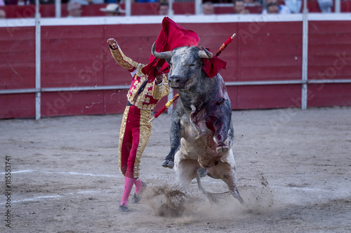 Bullfighter and bull, facing each other, in the arena of the bullring.