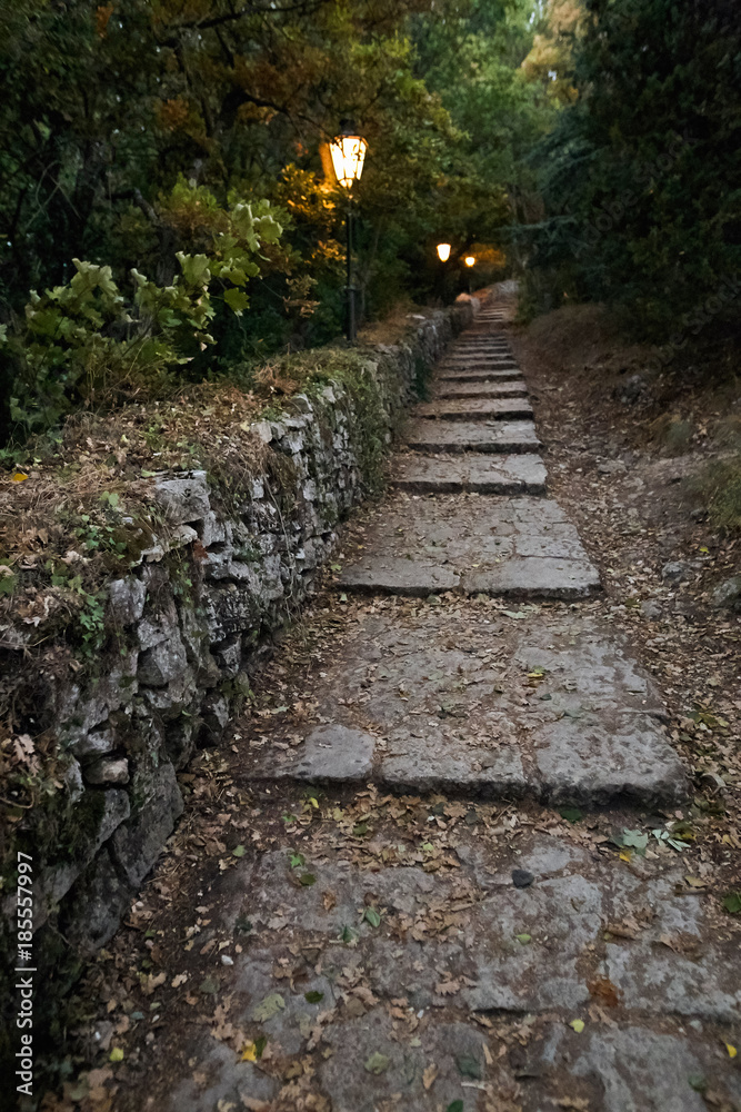 cozy dark green quiet alley with lanterns. cozy dark green quiet alley with lanterns.