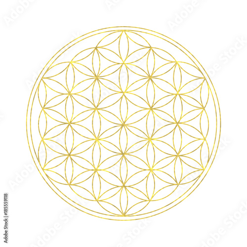 Flower of life - spiritual symbol with white background