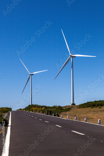 Eco power wind turbines landscape