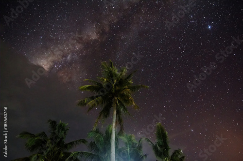 Night scene with coconut tree and Milky Way Galaxy in sky .(Visible noise due to high ISO, soft focus , shallow DOF , slight motion blur )