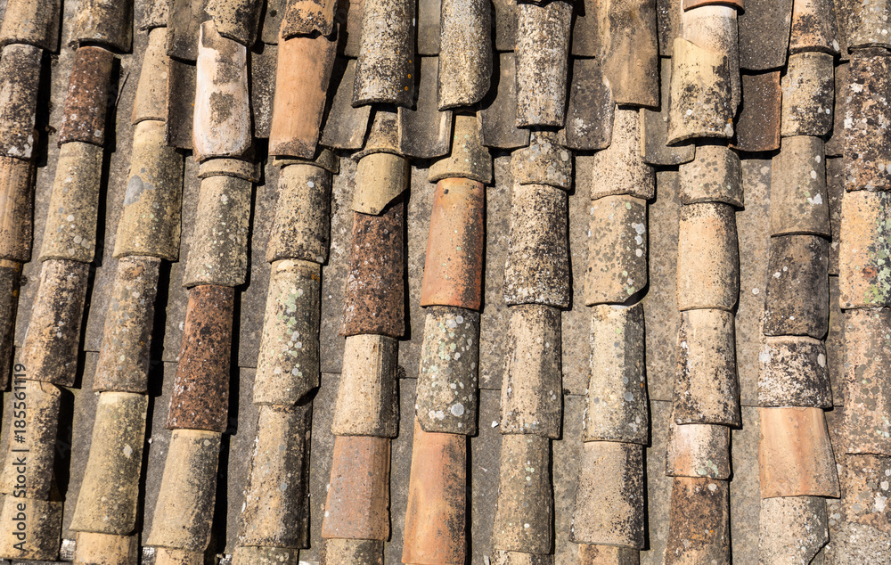 Old fashioned style roof tiles on rural building in Provence France