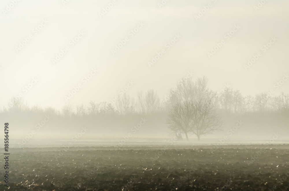 Plowed in winter field (arable land) Plowed in winter field (arable land)