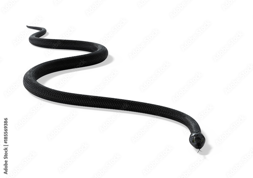 Obraz premium Czarny wąż na białym tle. Ilustracja 3D