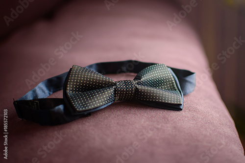Blue bow tie on the couch