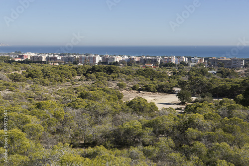 Skyline of the town of La Marina in the municipality of Elche, province of Alicante © FRANCISGONSA