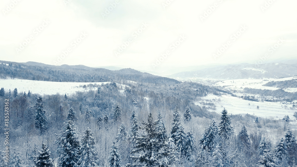 Top view of forest river in winter. Concept of winter tourism. Top view of forest river in winter. Concept of winter tourism.