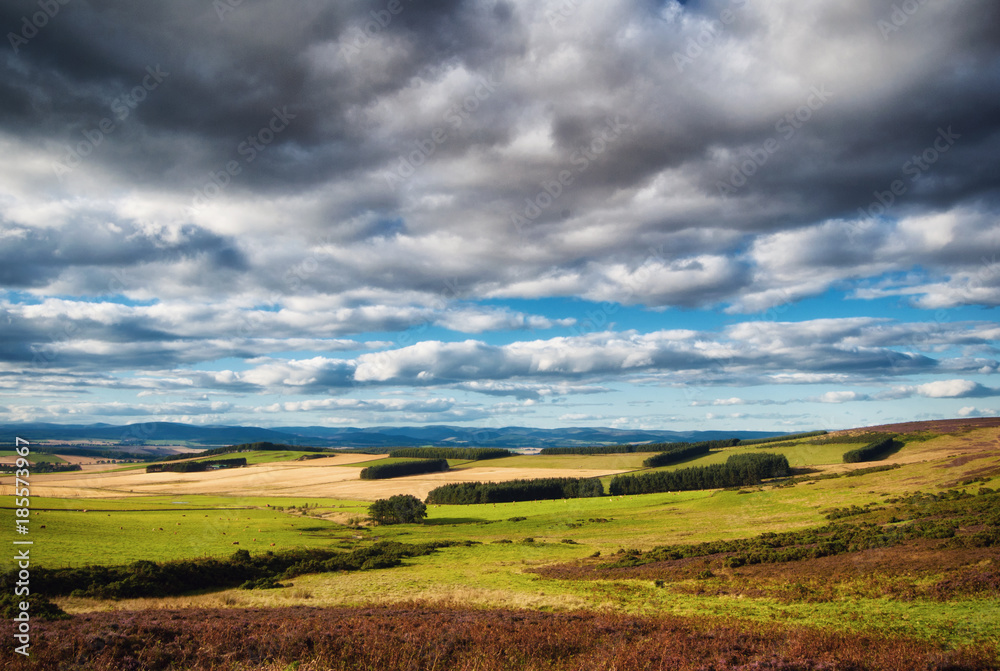 Scottish stunny landscape