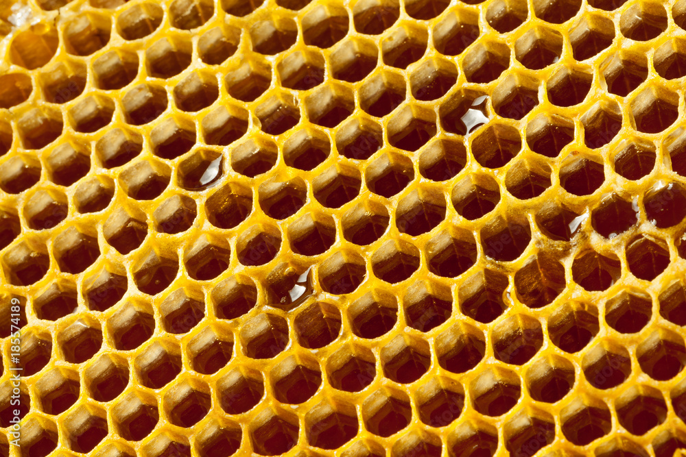 Fresh organic honey - healthy food concept - close up studio shot Fresh organic honey - healthy food concept - close up studio shot