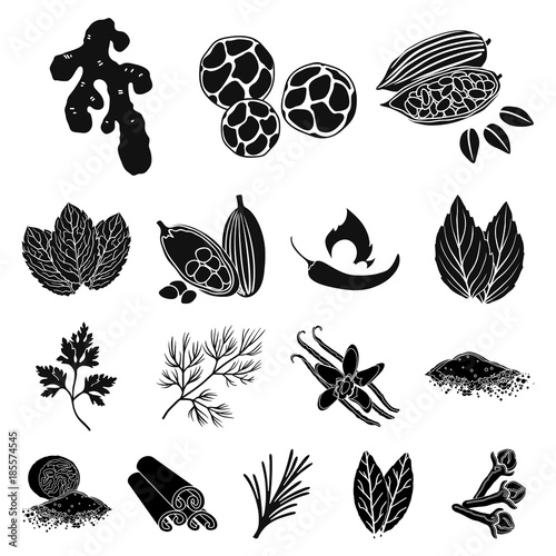 Herb and spices black icons in set collection for design.Different kinds of seasonings vector symbol stock web illustration.