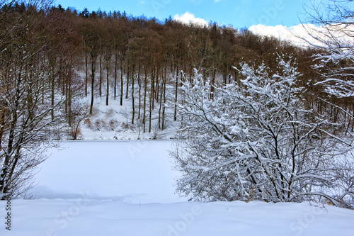 Winter landscape with snow covered trees in the forest.