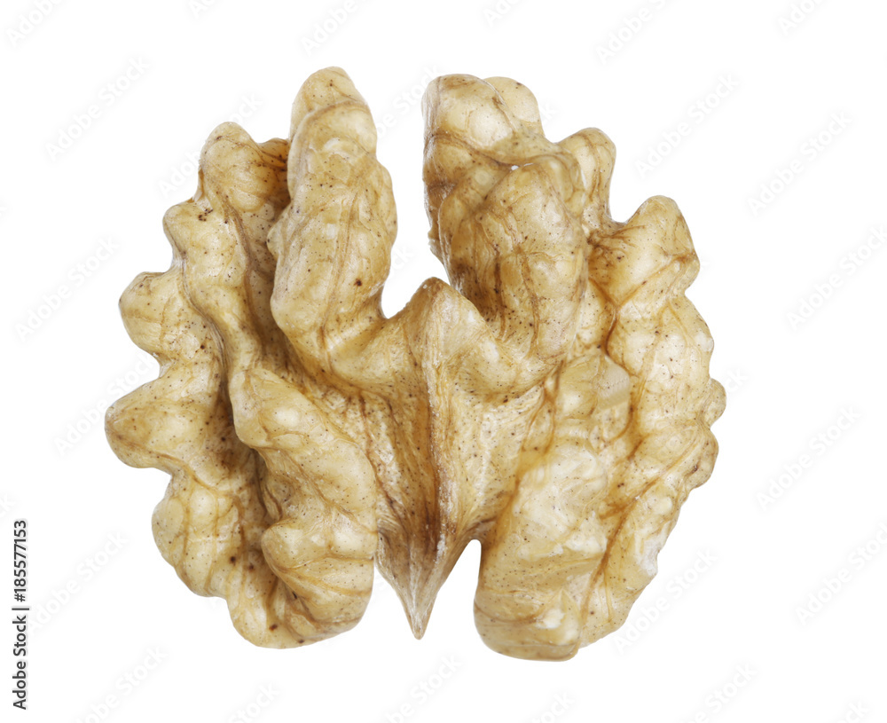Walnut on white background. Walnut on white background.