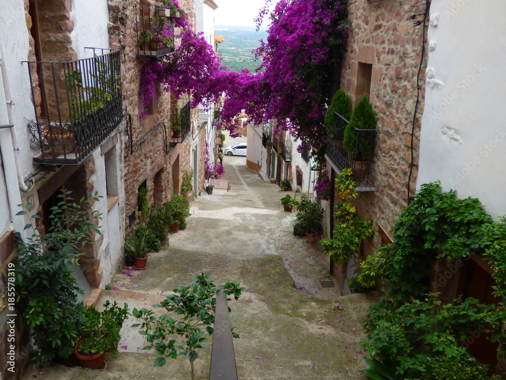 Fototapeta premium Villafamés. Pueblo de la Comunidad Valenciana, en España. Situado en la provincia de Castellón, en la comarca de la Plana Alta