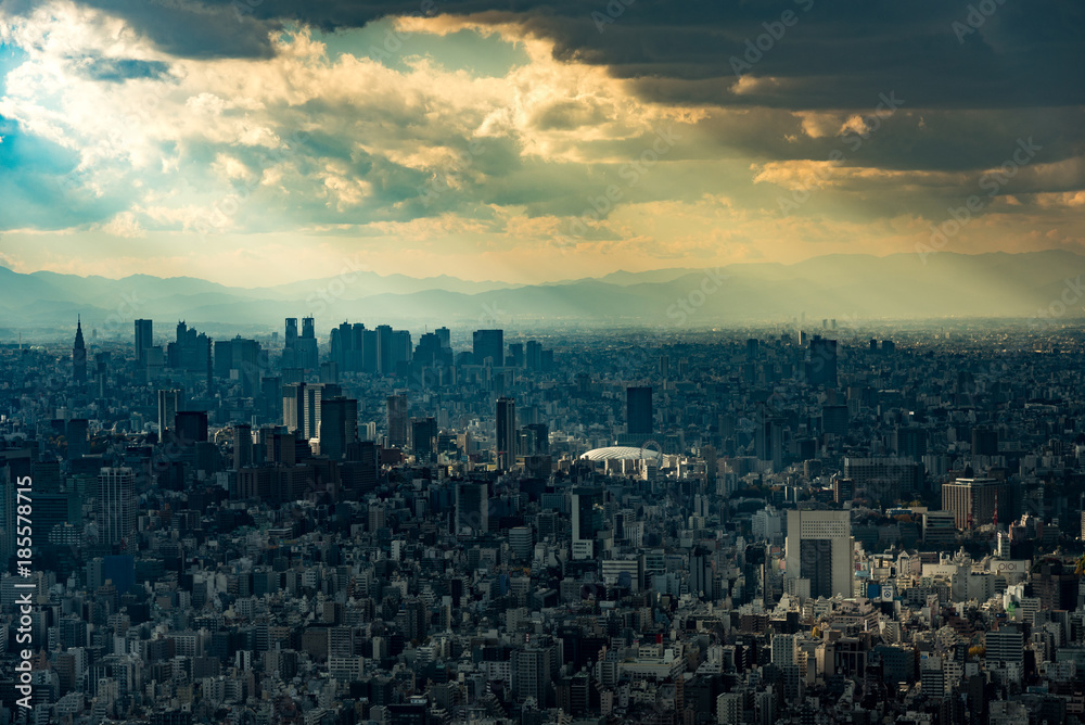 光芒に照らされる東京の都心の風景