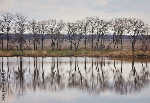 Natural landscape, tree without leaves, river, shore, forest, river grass, reflection many trees blue sky ravines