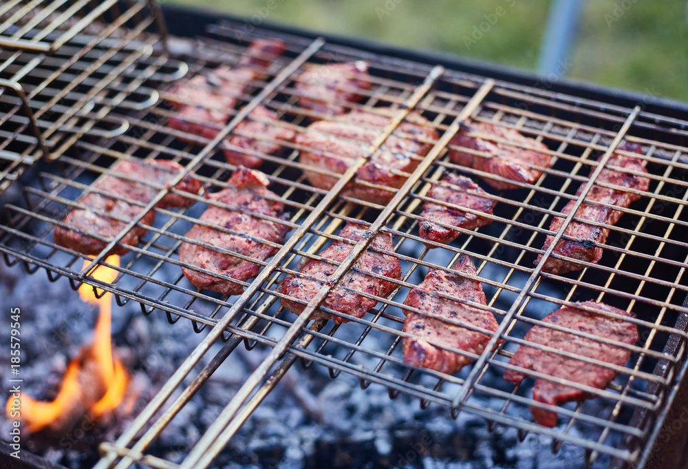 Barbecue in the forest.shashlik at nature. Process of cooking meat on barbecue, closeup. Barbecue with meat in metal grate, closed-up in forest with grass