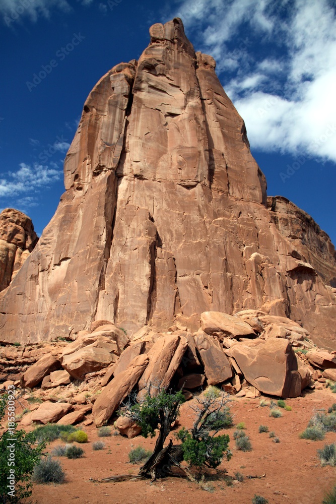 Fototapeta premium Beautiful Landscape of Arches NP - Utah - USA 