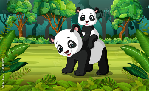 Panda with baby panda in the forest