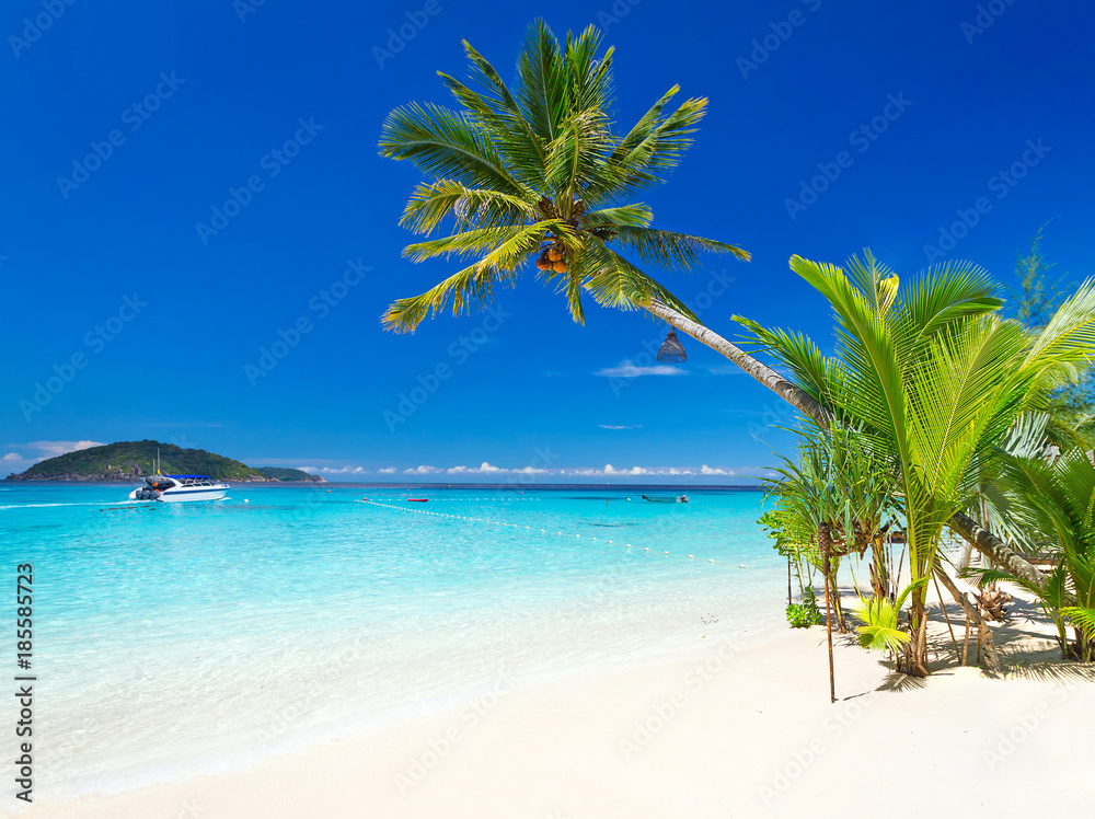 Fototapeta premium Tropikalna plażowa sceneria przy Morzem Karaibskim