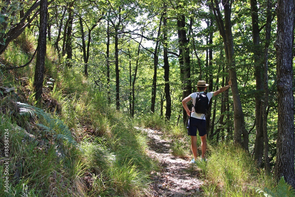 Backpacker with straw hat on trail among forest. Italy, Parco Naturale delle Capanne di Marcarolo