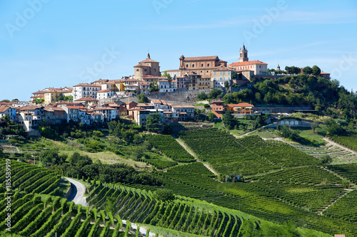 La Morra town with vineyards in Piedmont, Langhe hills in Italy, blue sky photo