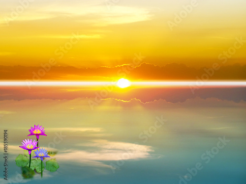 lotus bloom in swamp and reflection of sunrise on water © darkfoxelixir
