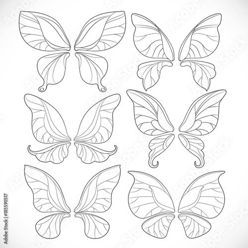 Fairy wings different form outlines set isolated on a white background