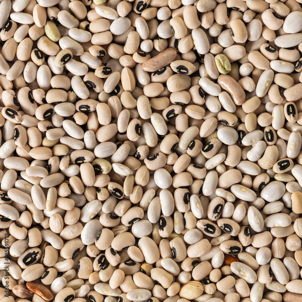 white bean texture closeup white bean texture closeup