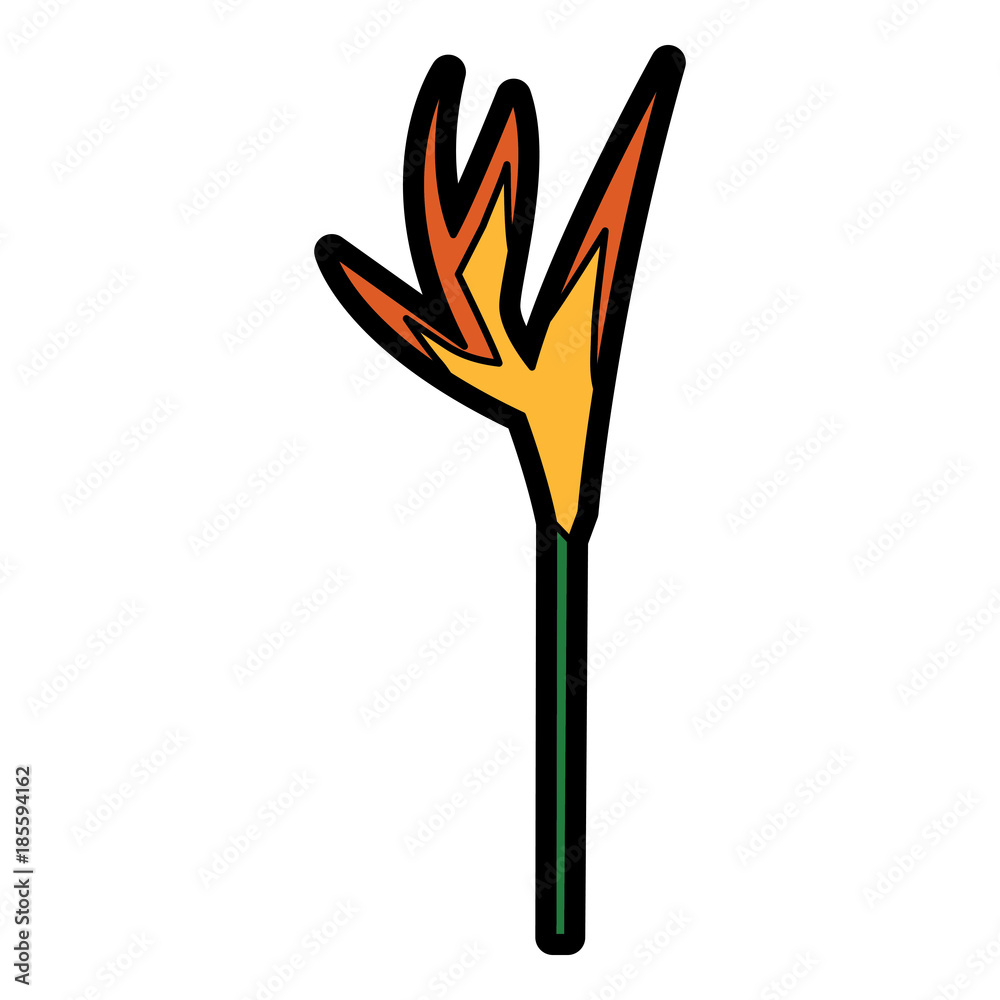 paradise flower wild icon image vector illustration design 