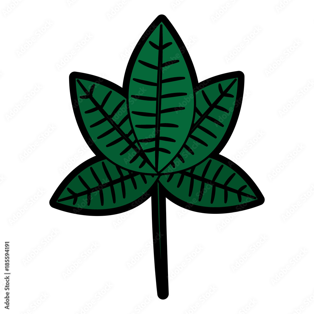 single leaf icon image vector illustration design single leaf icon image vector illustration design