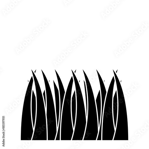 grass natural botanical foliage icon vector illustration