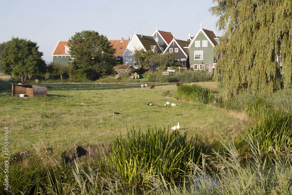 Fototapeta premium The big Yard (werf)