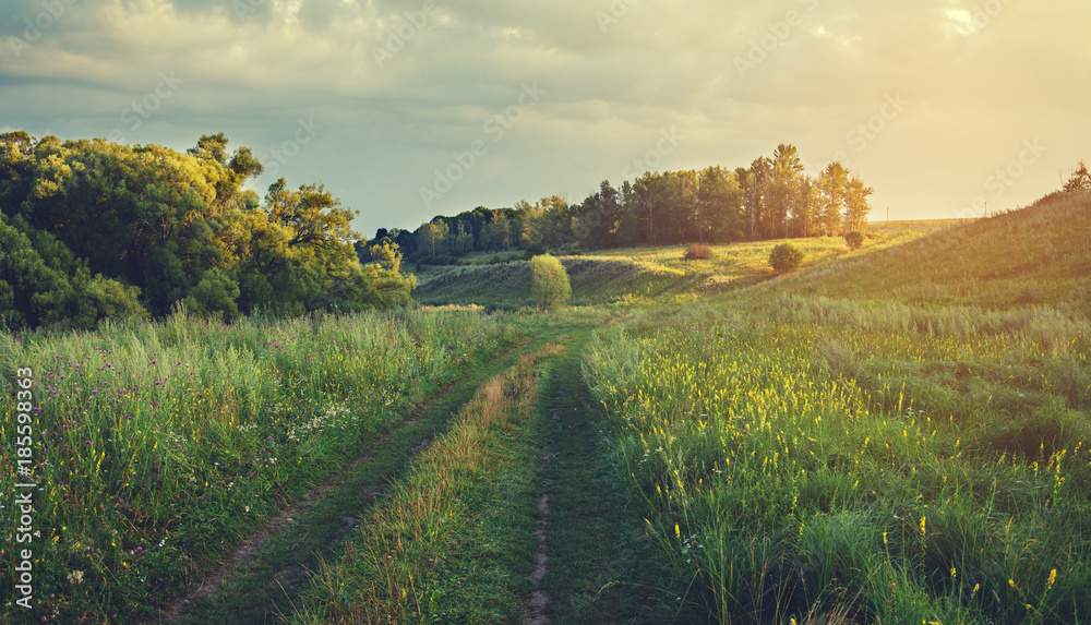 Fototapeta premium Summer landscape with ground rural road.Sunny morning.Calm and silence.