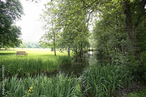 Stream in Woods Chateau, de l’islette, France