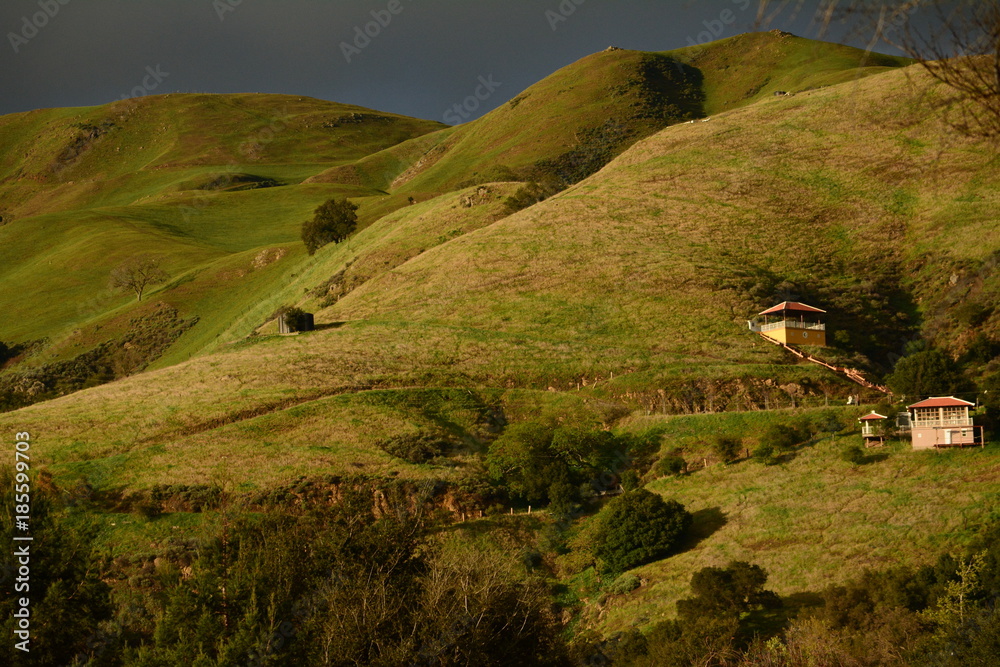 Fototapeta premium Cali hills