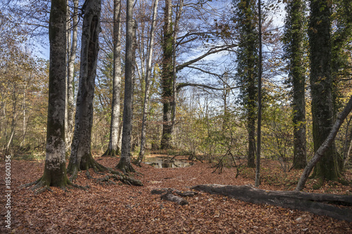 Landschaft in Kroatien © Hanna Gottschalk