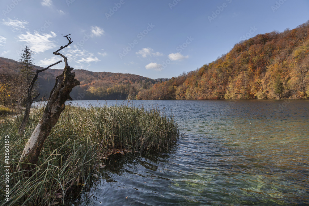 Fototapeta premium Landschaft in Kroatien