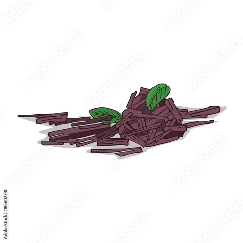 Isolated clipart of plant Sandalwood on white background. Botanical drawing of herb Sandal with sticks and leaves, chips, billets