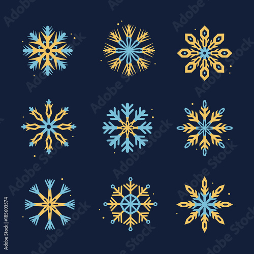 Various winter snowflakes vector icon in two different colors set