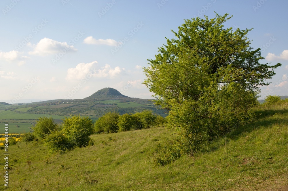 Hill Mila in the Ceske Stredohori, Northern Bohemia, Czech republic Hill Mila in the Ceske Stredohori, Northern Bohemia, Czech republic