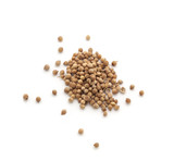 Coriander seeds spices isolated on white