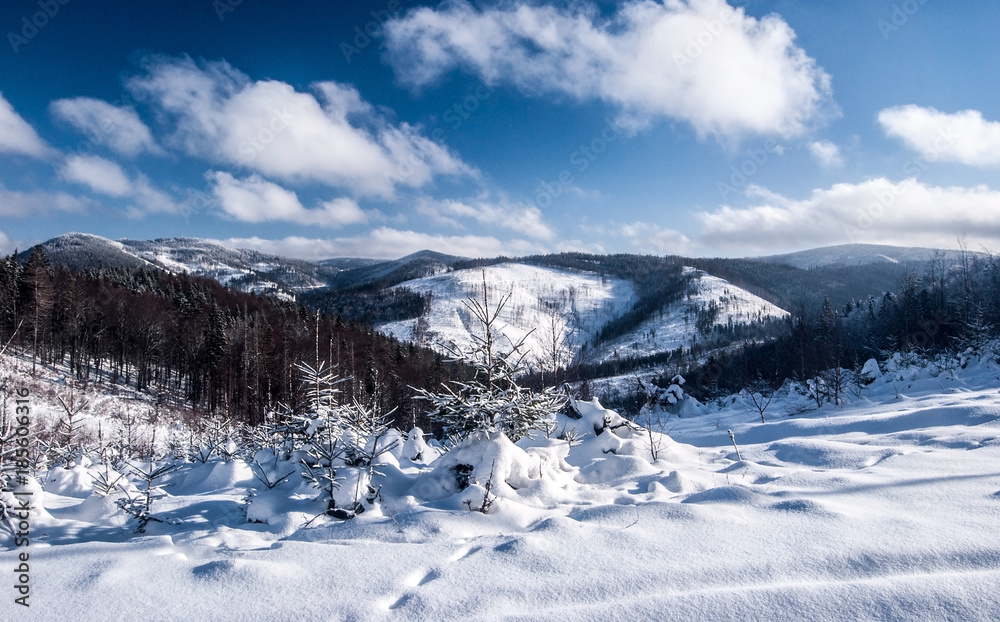 winter mountain panorama from Wielky Przyslop hill near Wielka Racza in Zywiec Beskids mountains on polish - slovakian borders