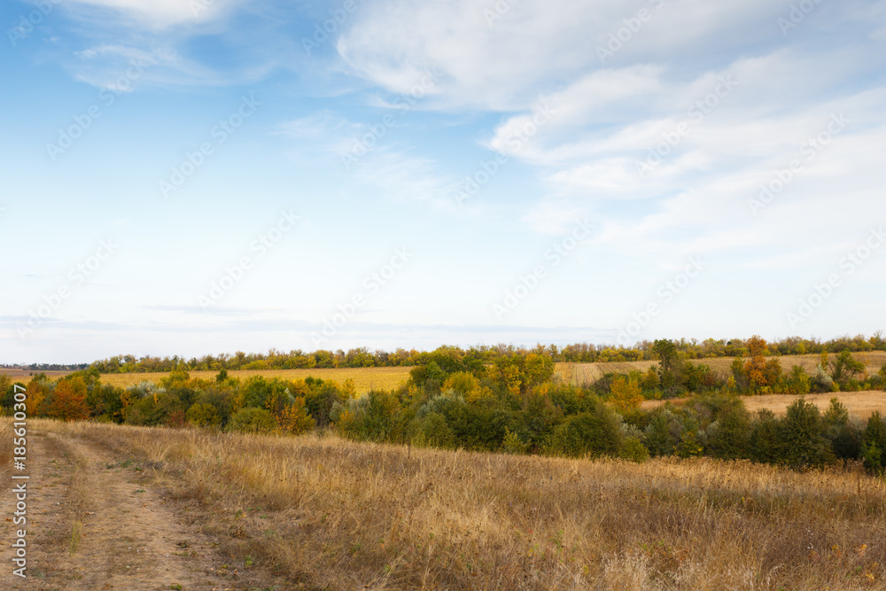 Rural landscape with a dirt road