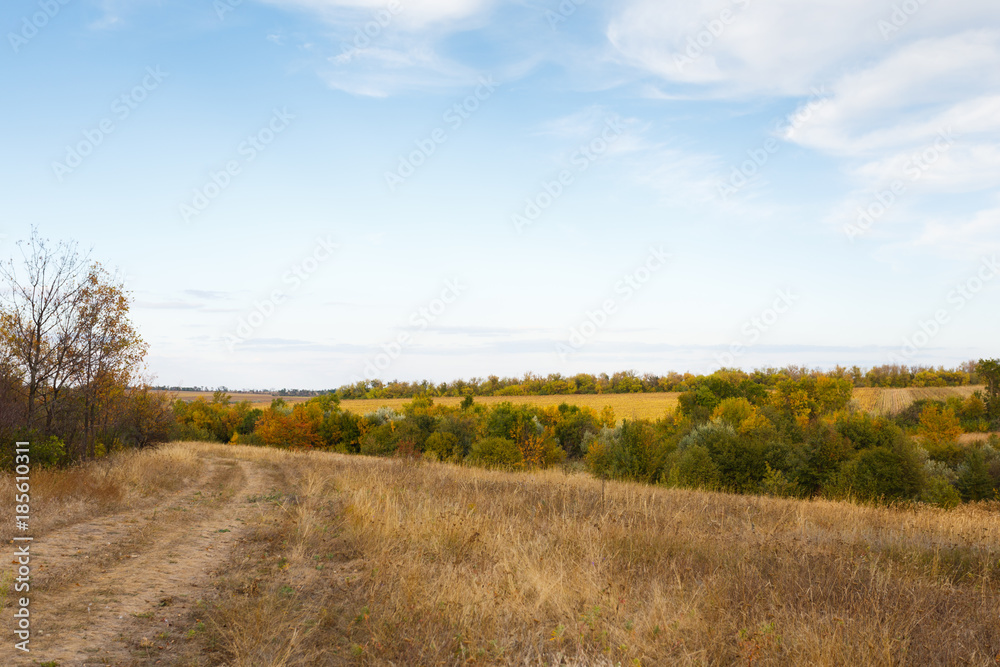 Rural landscape with a dirt road