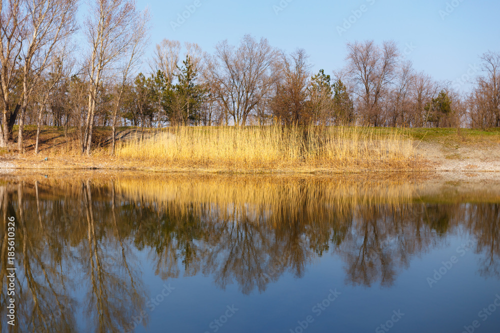 Summer Forest River With Reflection Of The Coast