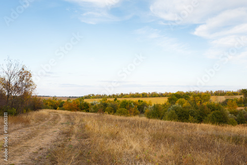 Rural landscape with a dirt road