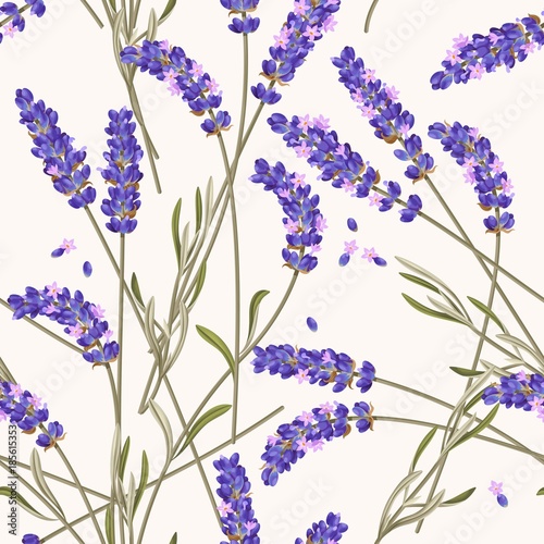 Fototapeta Naklejka Na Ścianę i Meble -  Lavender flowers seamless pattern