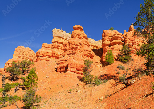 Cedar Breaks red rocks